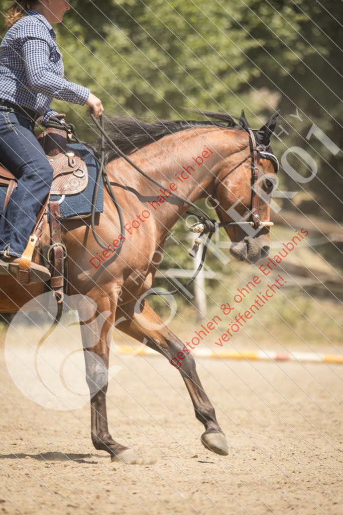 IMG_9718 | Sport-, Event- und Tierfotos in Profiqualität. Einfach auswählen, bestellen und herunterladen. Dein Moment – perfekt festgehalten.