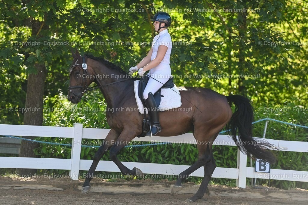 20230715_06_Dressurpferdeprfg. Kl.A_0287 | equistock