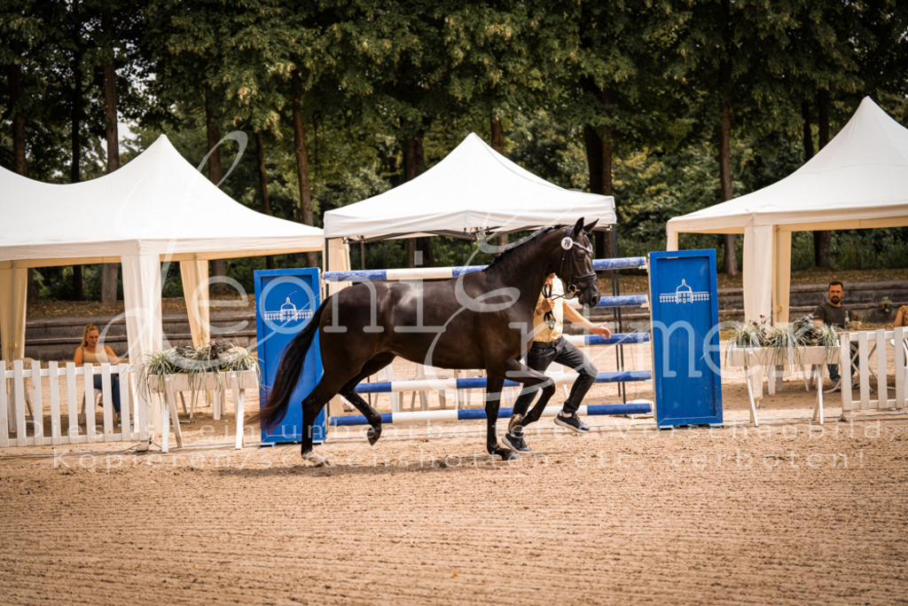 4.Fr00084 | Leoni Ertmer Photography - Realisiert mit Pictrs.com