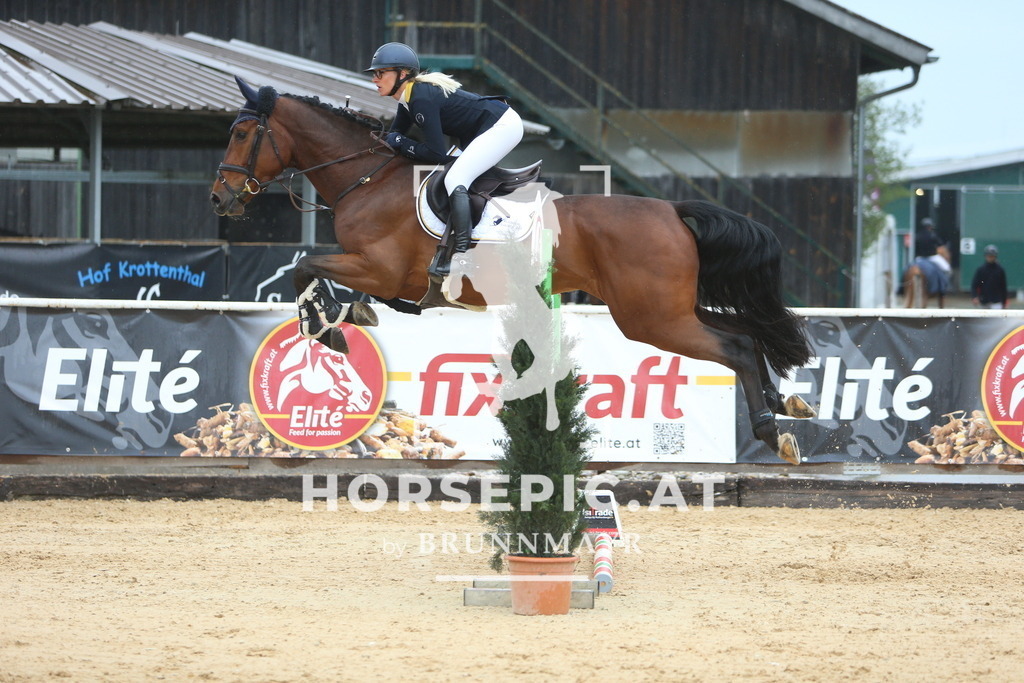 DL2Q7293 | Willkommen bei Brunnmayr - Design & Fotografie – Ihrem Spezialisten für Reitturniere und Pferdeveranstaltungen in Oberösterreich, Salzburg und Bayern! Seit über 17 Jahren sind wir leidenschaftlich dabei.