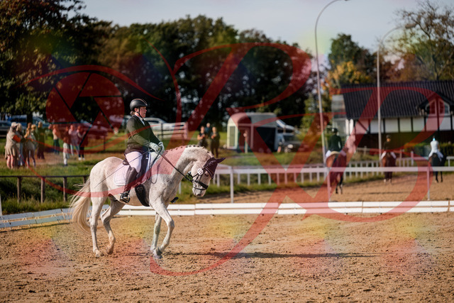 2026_10_03_Siefer-Hof_122837_Z63_48937149 | Professionelle Reitsport-, Turnier- und Eventfotografie von Robert Broda. Galerien mit ausgewählten und bearbeiteten Bildern direkt online ansehen und bestellen.