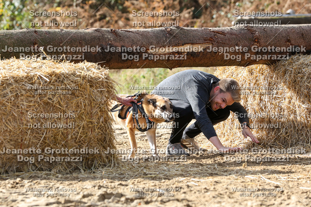 Dog Paparazzi - Strongdog 10-25-5746 | Dog Paparazzi Jeanette Grottendiek Fotografie & Videografie - Realisiert mit Pictrs.com