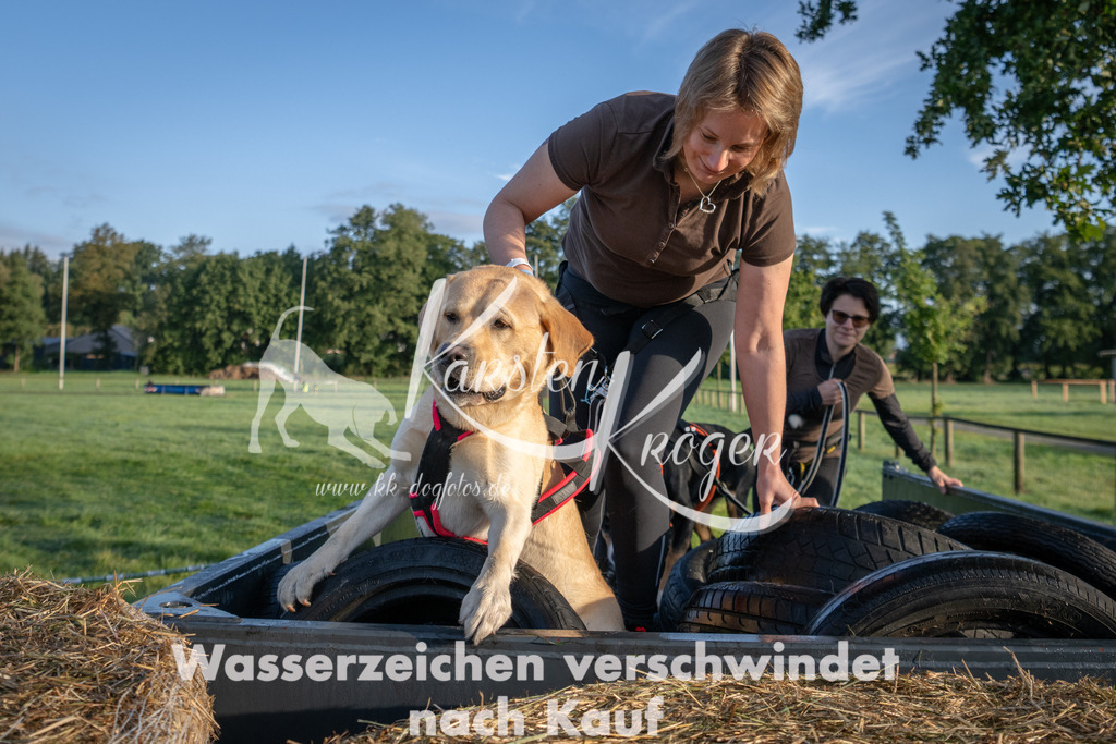 0817_ZZ90861 | kk-dogfotos