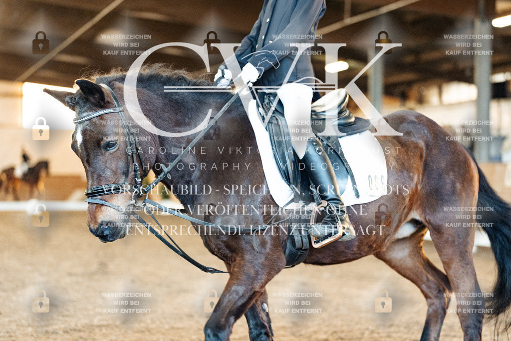 CK907160 | Turnierfotografie Pferdefotografie Trier Rheinland-Pfalz Pferdesport Reitsport Tierfotografie Sportfotografie Pferdevideo Pferdevideografie Equestrianvideography equestrianphotography  - Realized with Pictrs.com