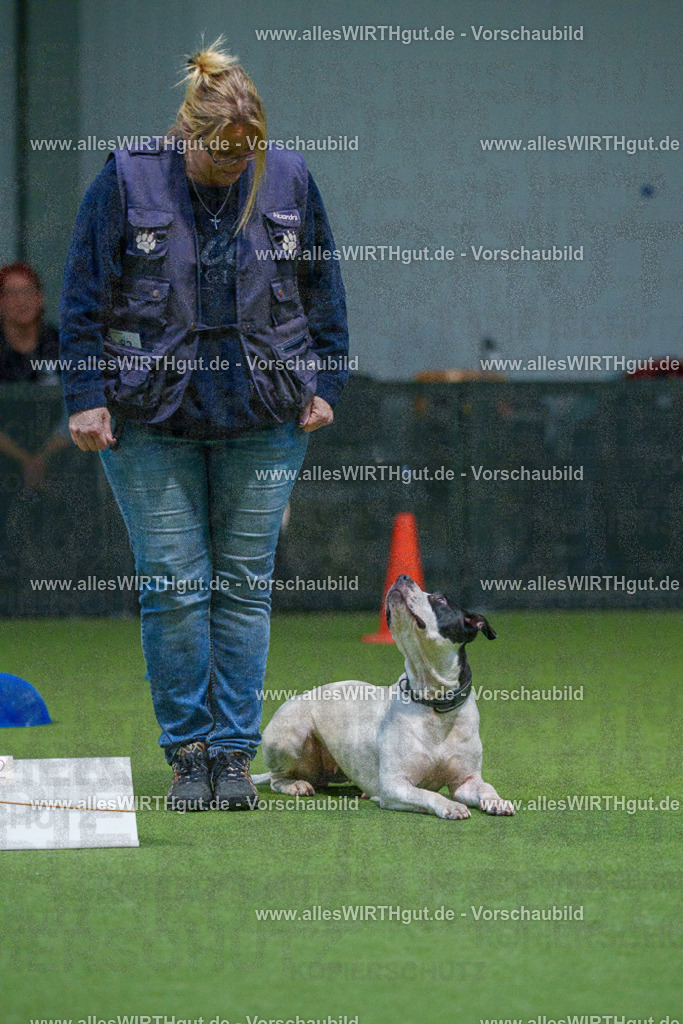 7R507771 | Professionelle Tierfotografie in Mönchengladbach von Daniel Wirth (allesWIRTHgut). Liebevolle & natürliche Bilder von Hunden & Katzen für unvergessliche Erinnerungen.