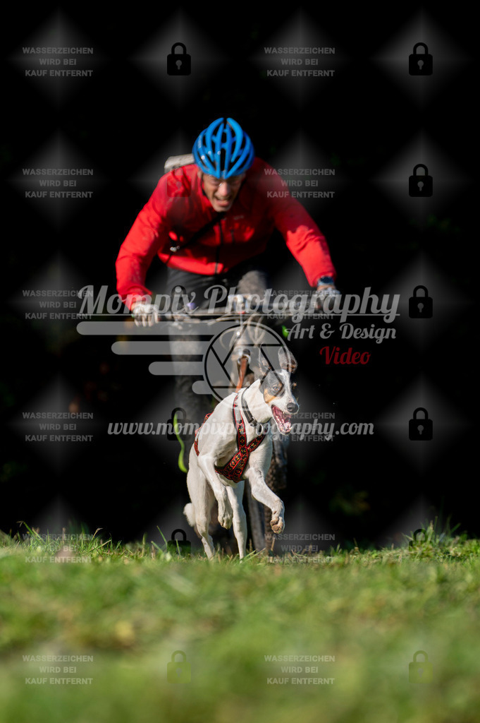 TSB_2023_E7_Bike-25 | PayLife