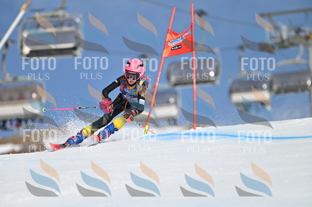 BGV_8528 | holidayphoto