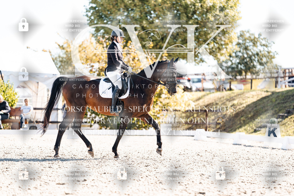 CK908712 | Turnierfotografie Pferdefotografie Trier Rheinland-Pfalz Pferdesport Reitsport Tierfotografie Sportfotografie Pferdevideo Pferdevideografie Equestrianvideography equestrianphotography  - Realisiert mit Pictrs.com