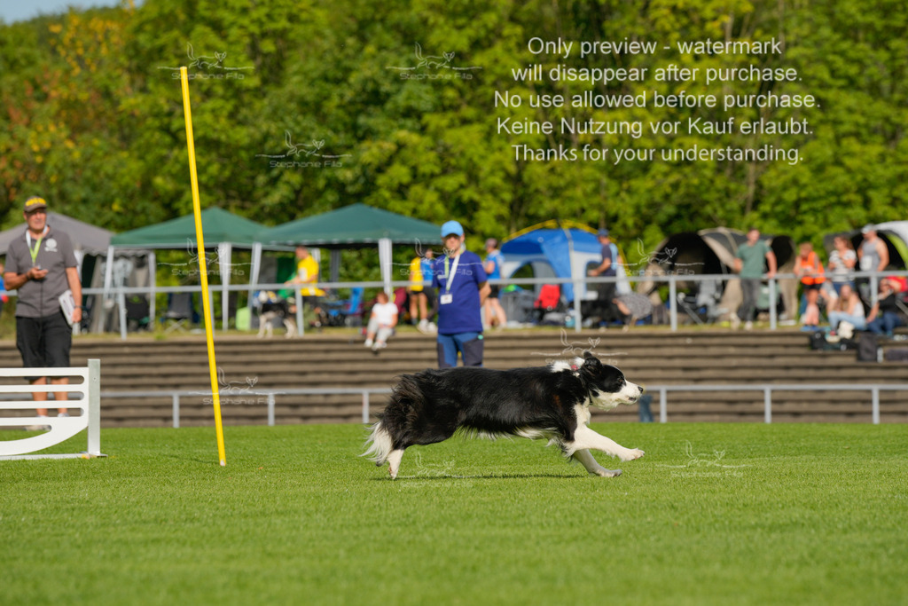 Samstag_CSC (78 von 2023) | stephaniefillaphotographie - Realisiert mit Pictrs.com