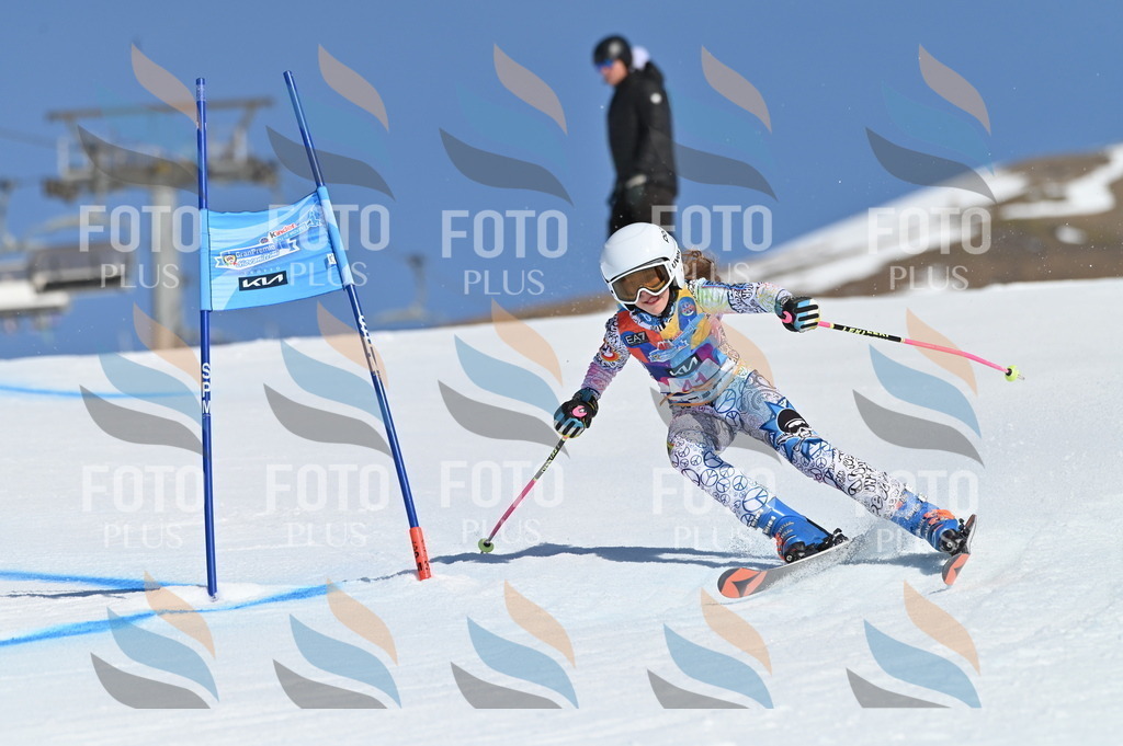 BGV_8373 | holidayphoto