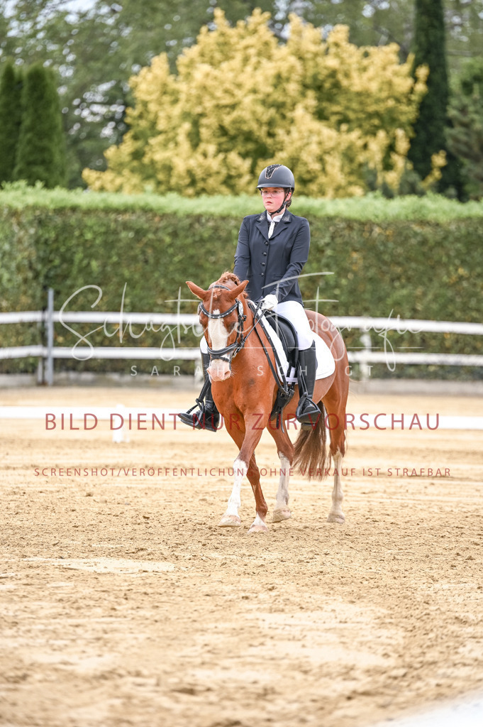 Schugtsche-Aluta25-42.EDressur -274 | Schugtsche Fotografie - Realisiert mit Pictrs.com