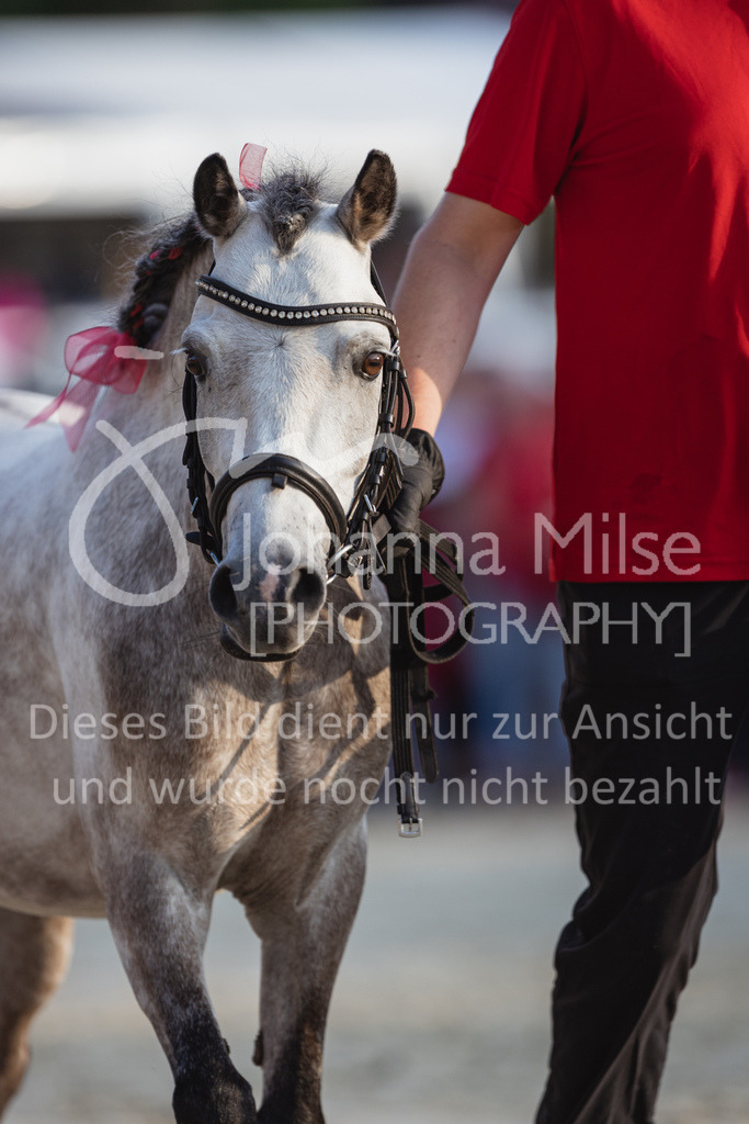 230728_BHO_Showprogramm-611 | Deine schönsten Turniermomente als professionelle Fotos! Entdecke hochwertige Pferdesport-Fotografie im Online-Shop. Jetzt Fotos finden & bestellen!