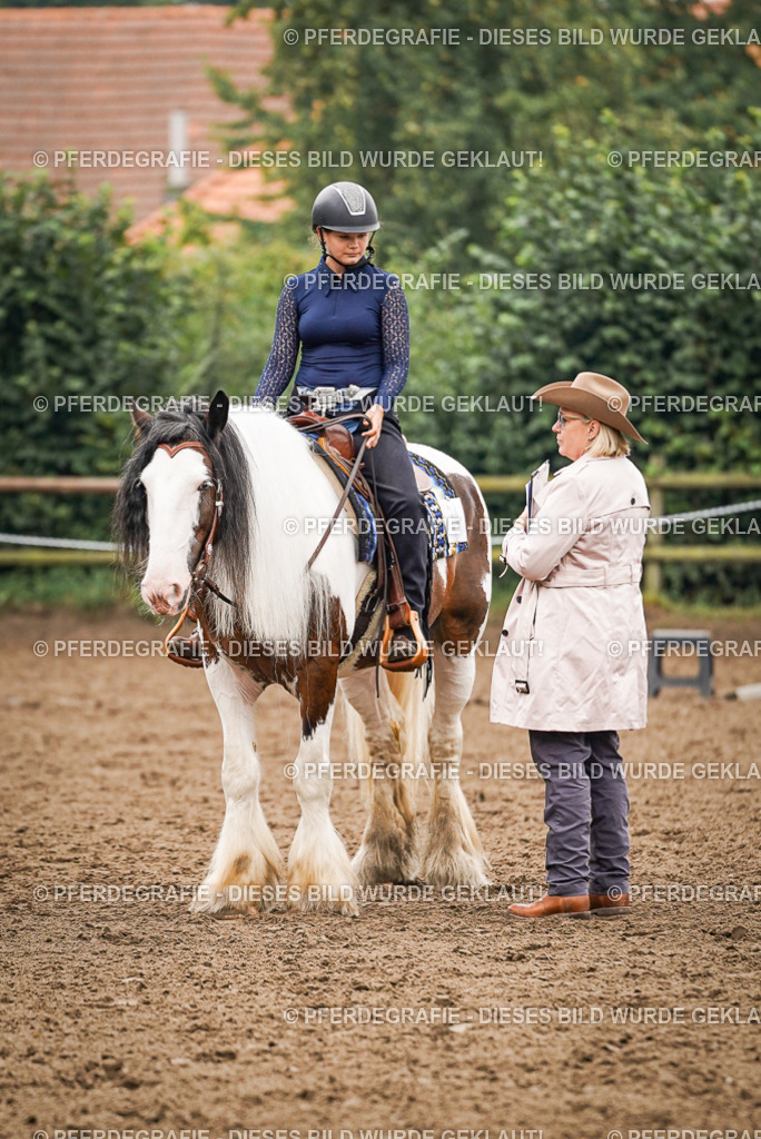 DSC02060 | Pferdegrafie