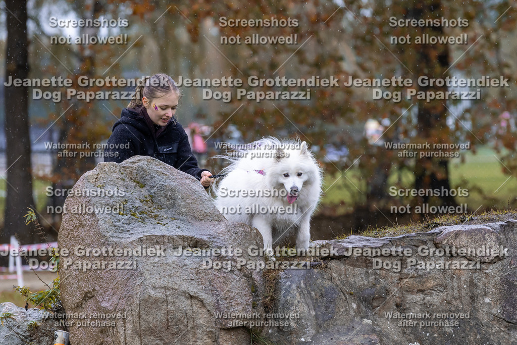 Dog Paparazzi - SD CaniX Championship 2025-755 | Dog Paparazzi Jeanette Grottendiek Fotografie & Videografie - Realisiert mit Pictrs.com