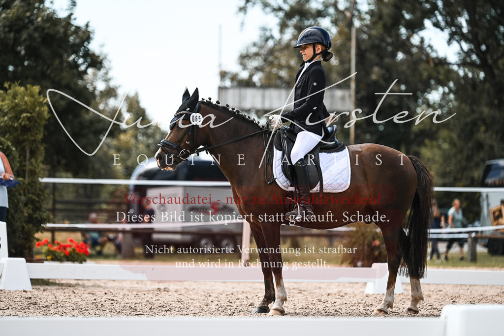 DSC_5688 | Pferde- und Turnierfotografie in Westsachsen. Pferdeportraits, Auftragszeichnungen und intuitive Kunst.
