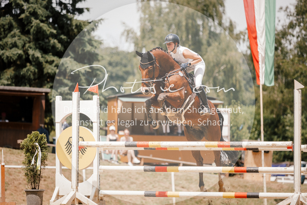 3I6A7838 | Stimmungsvolle Portraits und Reitsportfotografie im Ruhrgebiet und im Münsterland.

Pferdefotografie, Hundefotografie, Tierfotografie, Reportagen, Portraits von Tier und Mensch, Turnierfotografie in Bochum, Recklinghausen, Marl, Haltern am See, Dülmen.. - Realisiert mit Pictrs.com