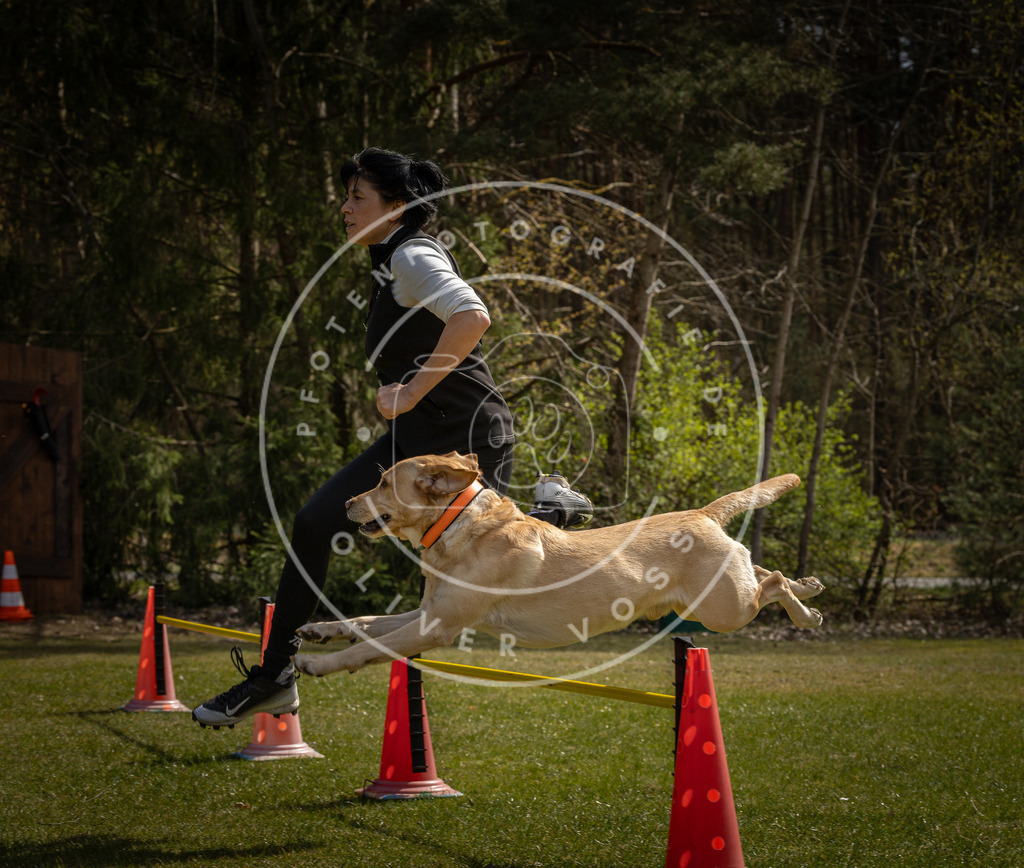 Pfotenfotografie_DV3A3544 | Hundefotografie, Tierfotograf, Pfotenfotografie, Fotoshooting Hund, Hunde Portrait, Hundesport, Hundeportraits, Heideshooting, Hunde, Sportfotograf, Hundefotograf, Turnierhundsport, THS,  - Realisiert mit Pictrs.com