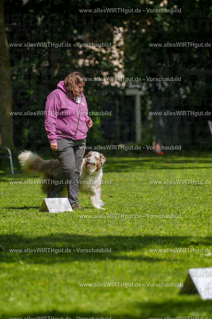 @allesWIRTHgut_Tierfotografie - www.allesWIRTHgut.de - 7R503257 | Professionelle Tierfotografie in Mönchengladbach von Daniel Wirth (allesWIRTHgut). Liebevolle & natürliche Bilder von Hunden & Katzen für unvergessliche Erinnerungen.
