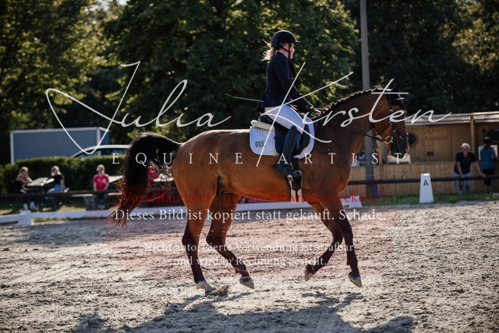 DSC_0687 | Pferde- und Turnierfotografie in Westsachsen. Pferdeportraits, Auftragszeichnungen und intuitive Kunst.