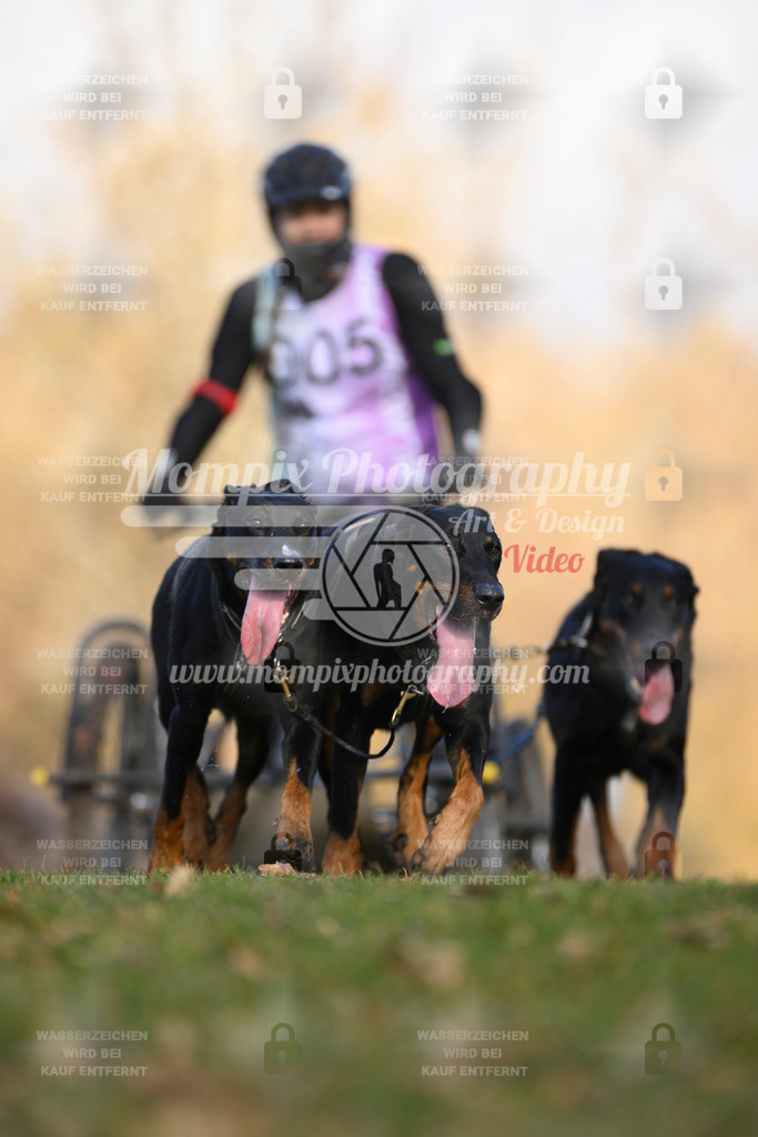 MompixPhotography_10Schwabentrail2026_SO_Kart-17 | PayLife