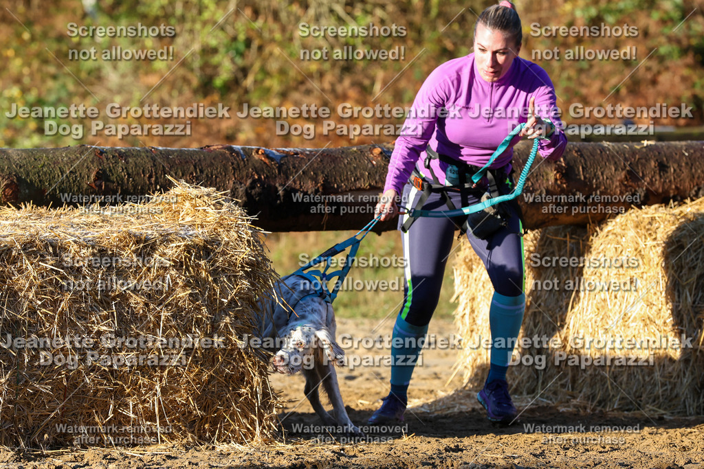 Dog Paparazzi - Strongdog 10-25-923 | Dog Paparazzi Jeanette Grottendiek Fotografie & Videografie - Realisiert mit Pictrs.com