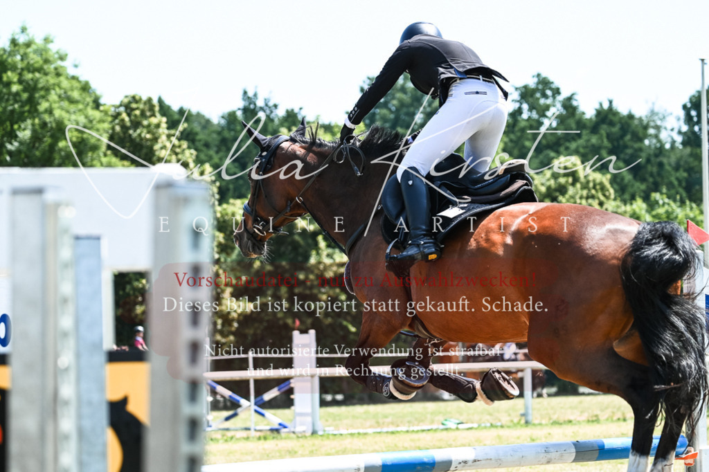 DSC_0058 | Pferde- und Turnierfotografie in Westsachsen. Pferdeportraits, Auftragszeichnungen und intuitive Kunst.