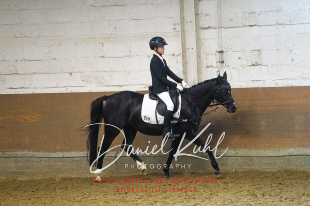 DKP43839 | Turniersportfotografie; Pferdefotografie; Dressurfotografie