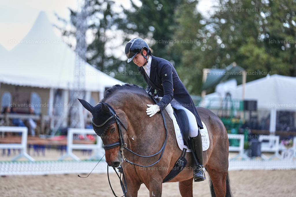 12-186-DRESSUR  S___  -Marixx-5261 | working equitationturnier fotograf videograf stoibphotography marixx film working equitation deutschland reitsport turnierfotografie eventfotografie equestrian events