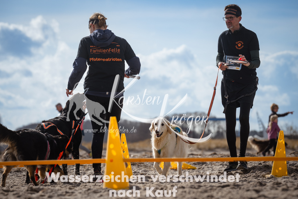 1319_ZZ91339 | kk-dogfotos