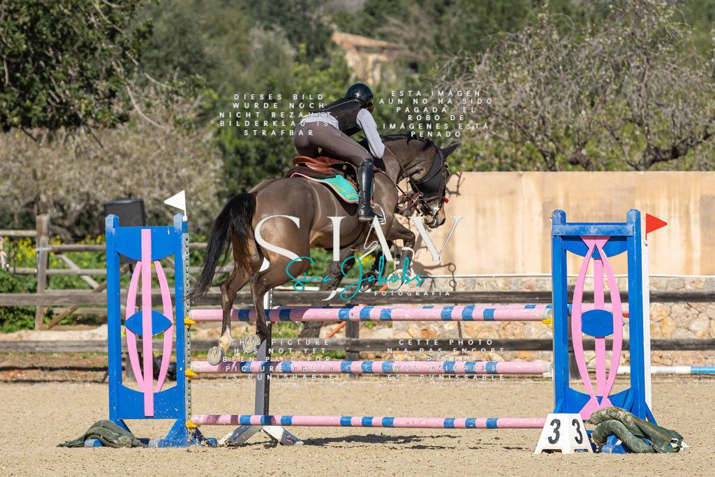 IMG_6785 | s-jay-photography - Realisiert mit Pictrs.com