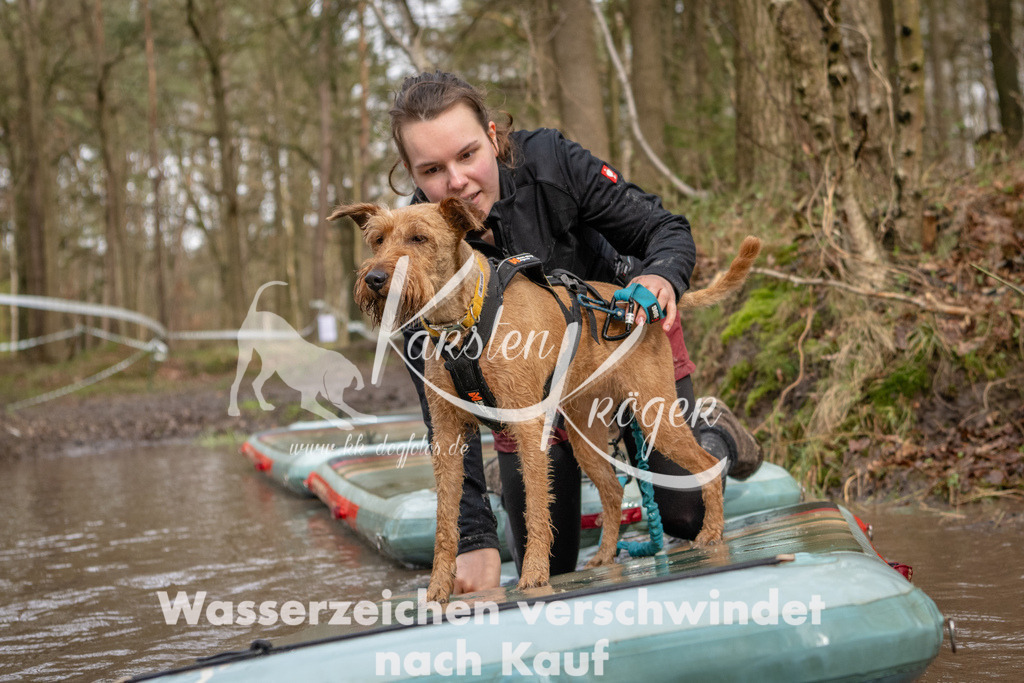 1033_ZZ94058 | kk-dogfotos