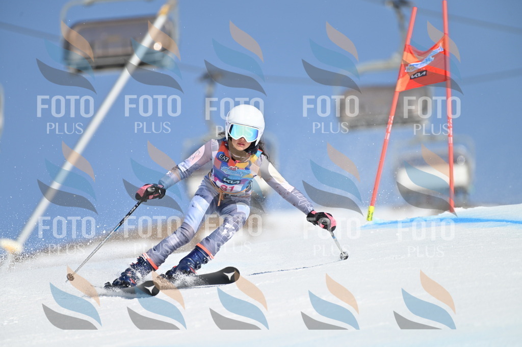 BGV_8151 | holidayphoto