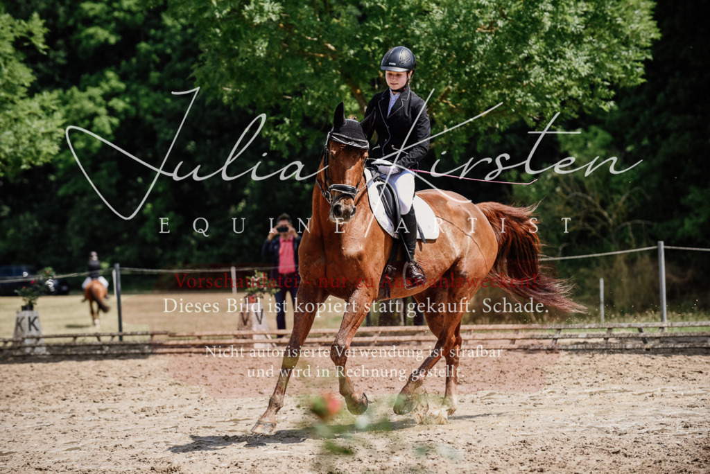 DSC_1399 | Pferde- und Turnierfotografie in Westsachsen. Pferdeportraits, Auftragszeichnungen und intuitive Kunst.