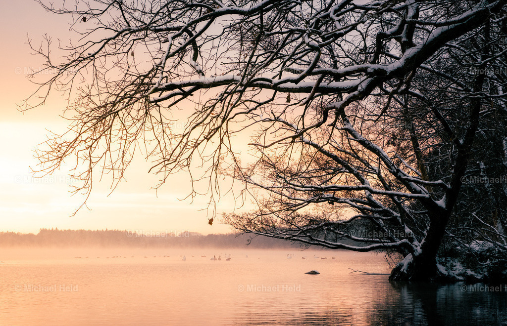 2023-12-01_Wald_Pratjau_Schnee_012 | Profi-Fotos über Schleswig-Holstein und dem ganzen Norden für Büro, Hotel, Ferienhaus, Ferienwohnung, Wohnzimmer, Arztpraxis uvm. jetzt bestellen. - Realisiert mit Pictrs.com