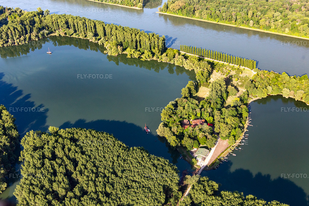 Luftbild: Pappelallee und Restaurant auf Insel Rott am Rhein in Linkenheim-Hochstetten im Bundesland Baden-Württemberg in Deutschland. Foto: IMG_141800.jpg vom 18.06.2024 durch Werner Riehm/FLY-FOTO.de