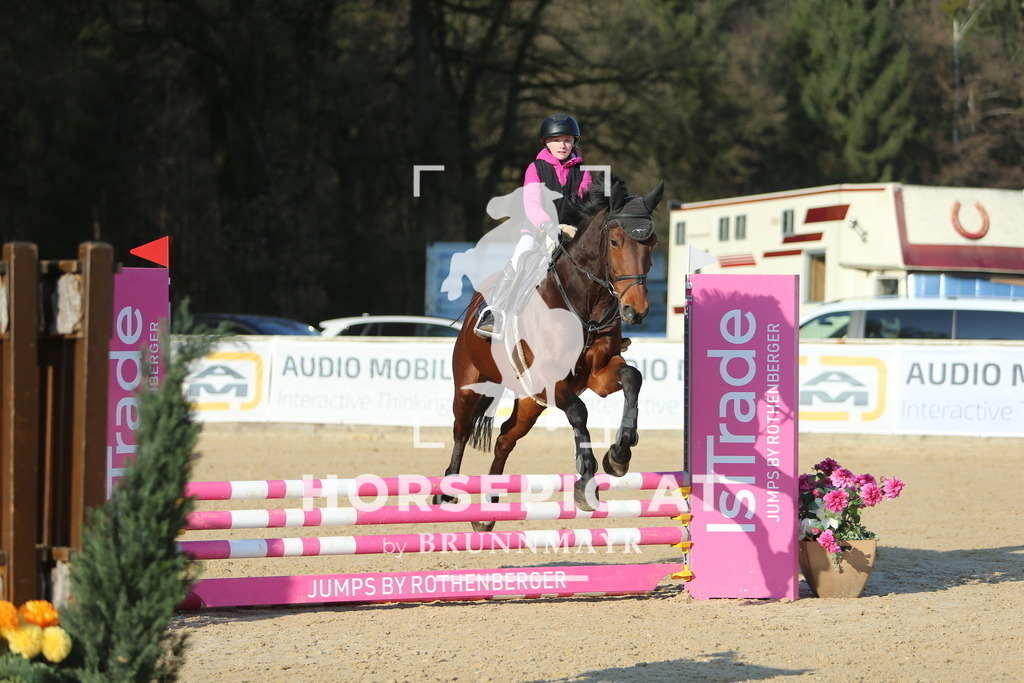DL2Q1810 | Willkommen bei Brunnmayr - Design & Fotografie – Ihrem Spezialisten für Reitturniere und Pferdeveranstaltungen in Oberösterreich, Salzburg und Bayern! Seit über 17 Jahren sind wir leidenschaftlich dabei.