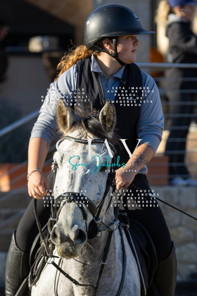 IMG_2235 | s-jay-photography - Realisiert mit Pictrs.com