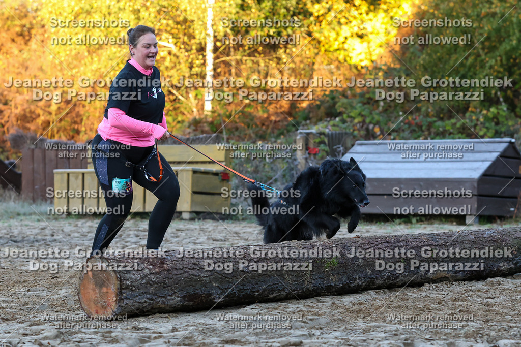 Dog Paparazzi - Strongdog 10-25-407 | Dog Paparazzi Jeanette Grottendiek Fotografie & Videografie - Realisiert mit Pictrs.com