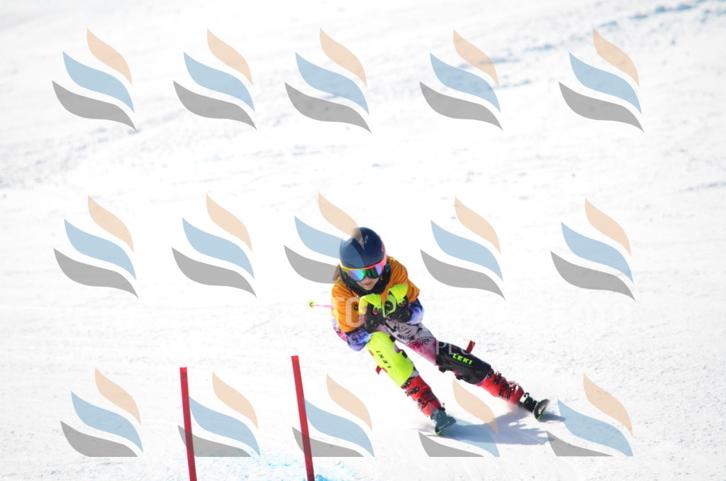 C9539 | holidayphoto