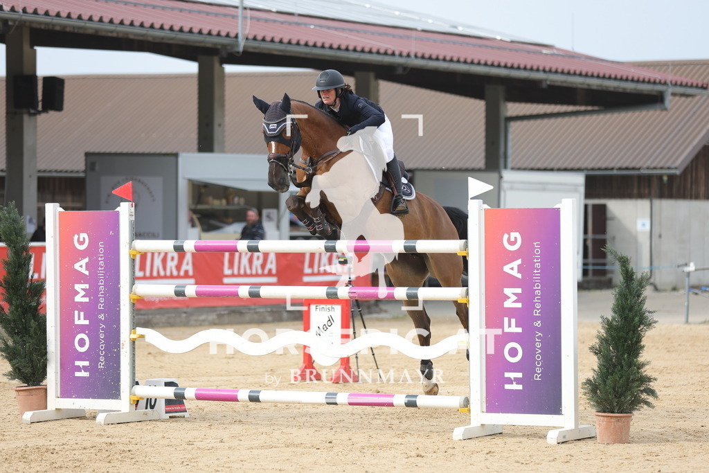 0P6A7104 | Willkommen bei Brunnmayr - Design & Fotografie – Ihrem Spezialisten für Reitturniere und Pferdeveranstaltungen in Oberösterreich, Salzburg und Bayern! Seit über 17 Jahren sind wir leidenschaftlich dabei.