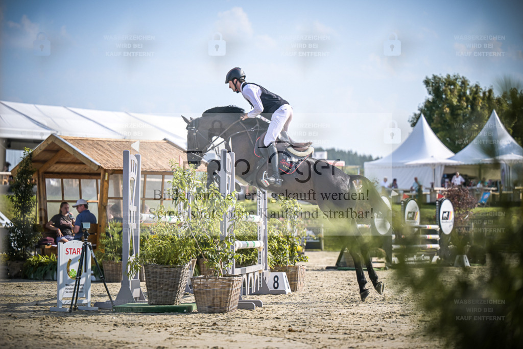 DOS_9950 | Entdecke hochwertige Reitturnierfotos von Foto Oger. Professionell, emotional und authentisch – jetzt Lieblingsmomente im Shop bestellen. - Realisiert mit Pictrs.com