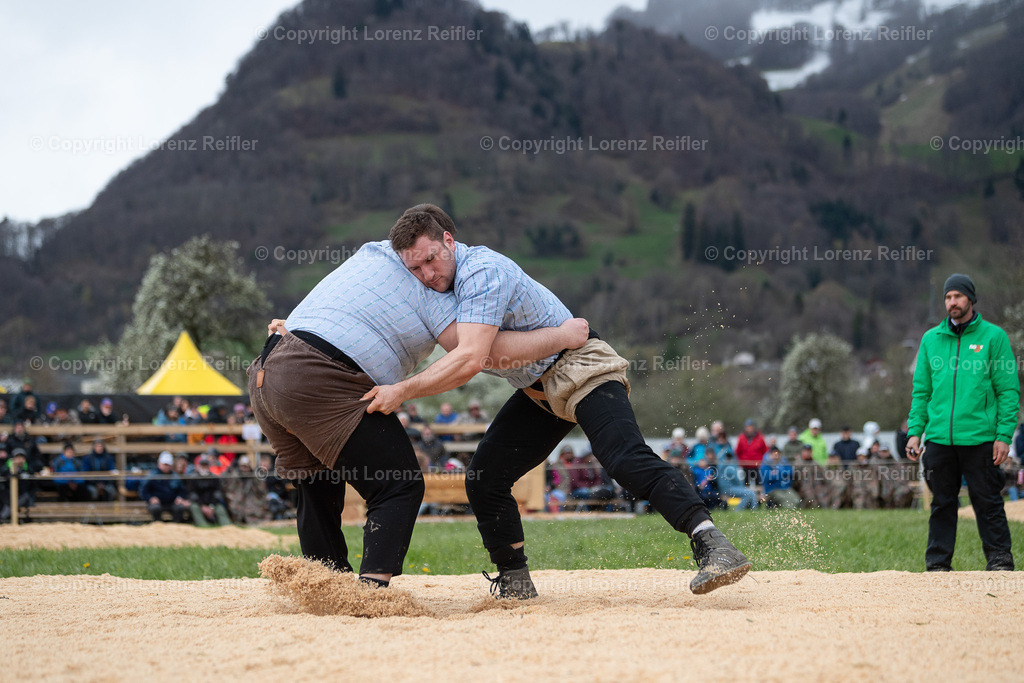 Schwingen -  Rheintal-Oberländer 2024 | Trübbach, 24.3.24, Schwingen - Rheintal-Oberländer.