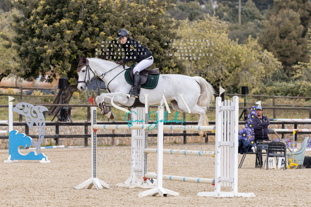 IMG_5203 | s-jay-photography - Realisiert mit Pictrs.com