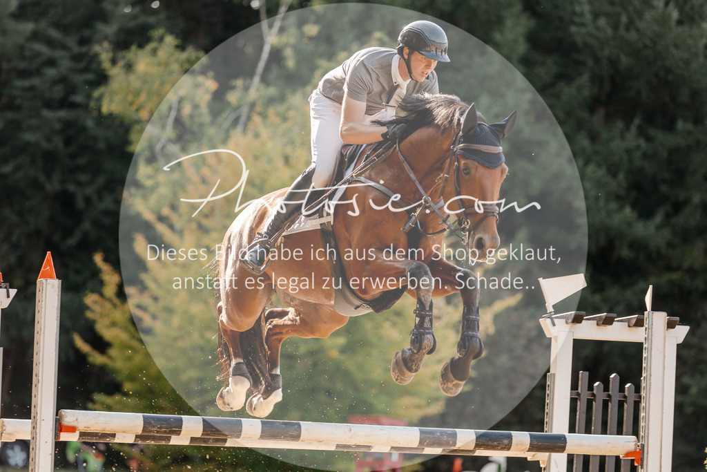 3I6A4933 | Stimmungsvolle Portraits und Reitsportfotografie im Ruhrgebiet und im Münsterland.

Pferdefotografie, Hundefotografie, Tierfotografie, Reportagen, Portraits von Tier und Mensch, Turnierfotografie in Bochum, Recklinghausen, Marl, Haltern am See, Dülmen.. - Realisiert mit Pictrs.com