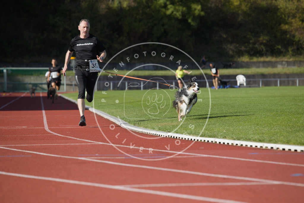 0L8A0014 | Hundefotografie, Tierfotograf, Pfotenfotografie, Fotoshooting Hund, Hunde Portrait, Hundesport, Hundeportraits, Heideshooting, Hunde, Sportfotograf, Hundefotograf, Turnierhundsport, THS,  - Realisiert mit Pictrs.com