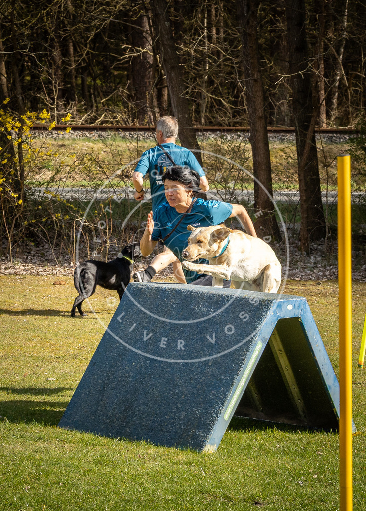 Pfotenfotografie_DV3A1593 | Hundefotografie, Tierfotograf, Pfotenfotografie, Fotoshooting Hund, Hunde Portrait, Hundesport, Hundeportraits, Heideshooting, Hunde, Sportfotograf, Hundefotograf, Turnierhundsport, THS,  - Realisiert mit Pictrs.com