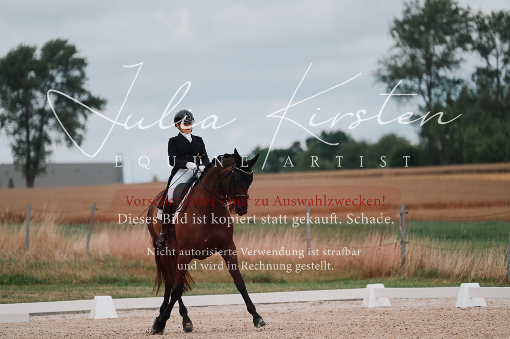 DSC_4155 | Pferde- und Turnierfotografie in Westsachsen. Pferdeportraits, Auftragszeichnungen und intuitive Kunst.