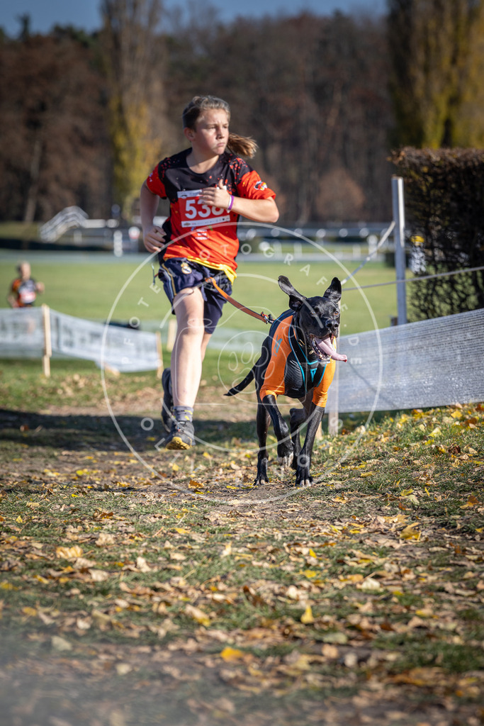 CaniXpix_DV3A8340 | Hundefotografie, Tierfotograf, Pfotenfotografie, Fotoshooting Hund, Hunde Portrait, Hundesport, Hundeportraits, Heideshooting, Hunde, Sportfotograf, Hundefotograf, Turnierhundsport, THS,  - Realisiert mit Pictrs.com