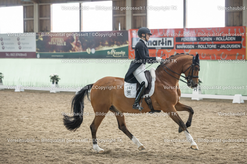 _D5A5943 | Emotionale Pferde- & People-Fotografie rund um Heidelberg, Leimen & Umgebung. Natürliche Fotos von Pferd, Mensch & Familie. Jetzt Termin sichern!