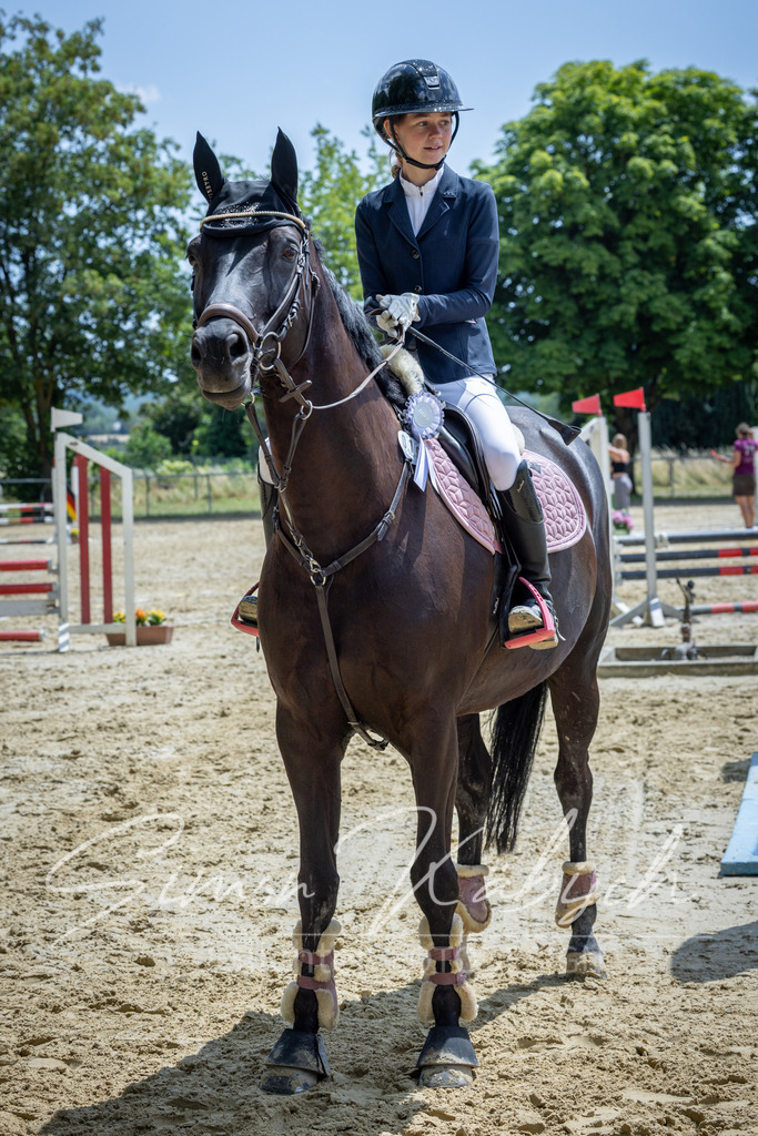 20260704-_3LI9041 | Tierfotografie Pferde, Hunde, Katzen, Haustiere.
Turnierfotografie Reitturniere, Reiten, Springreiten, Dressur in Hanau, dem Main-Kinzig-Kreis und dem Rhein-Main- Gebiet um Frankfurt
